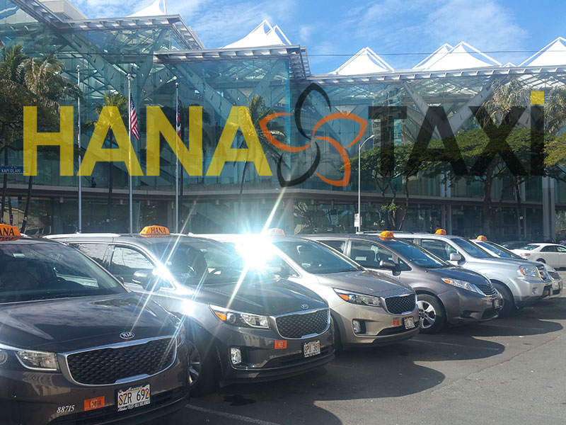 Hawaii Hana Taxi (ハナタクシー)